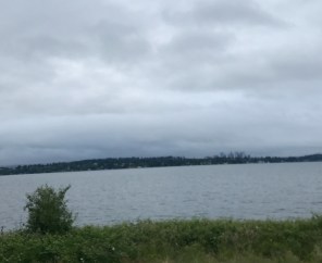 Seattle half marathon